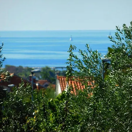 Apartment Klimatisierte In Zambratija Mit Grill Und Meerblick Umag